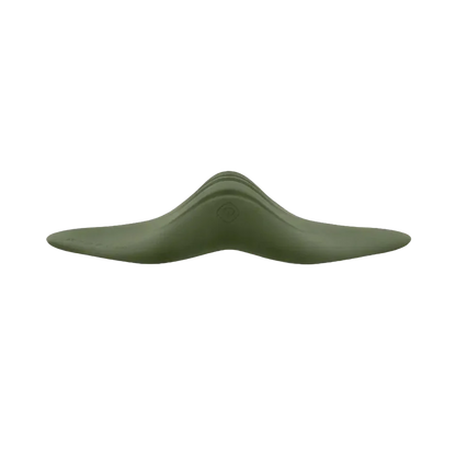 Stingray